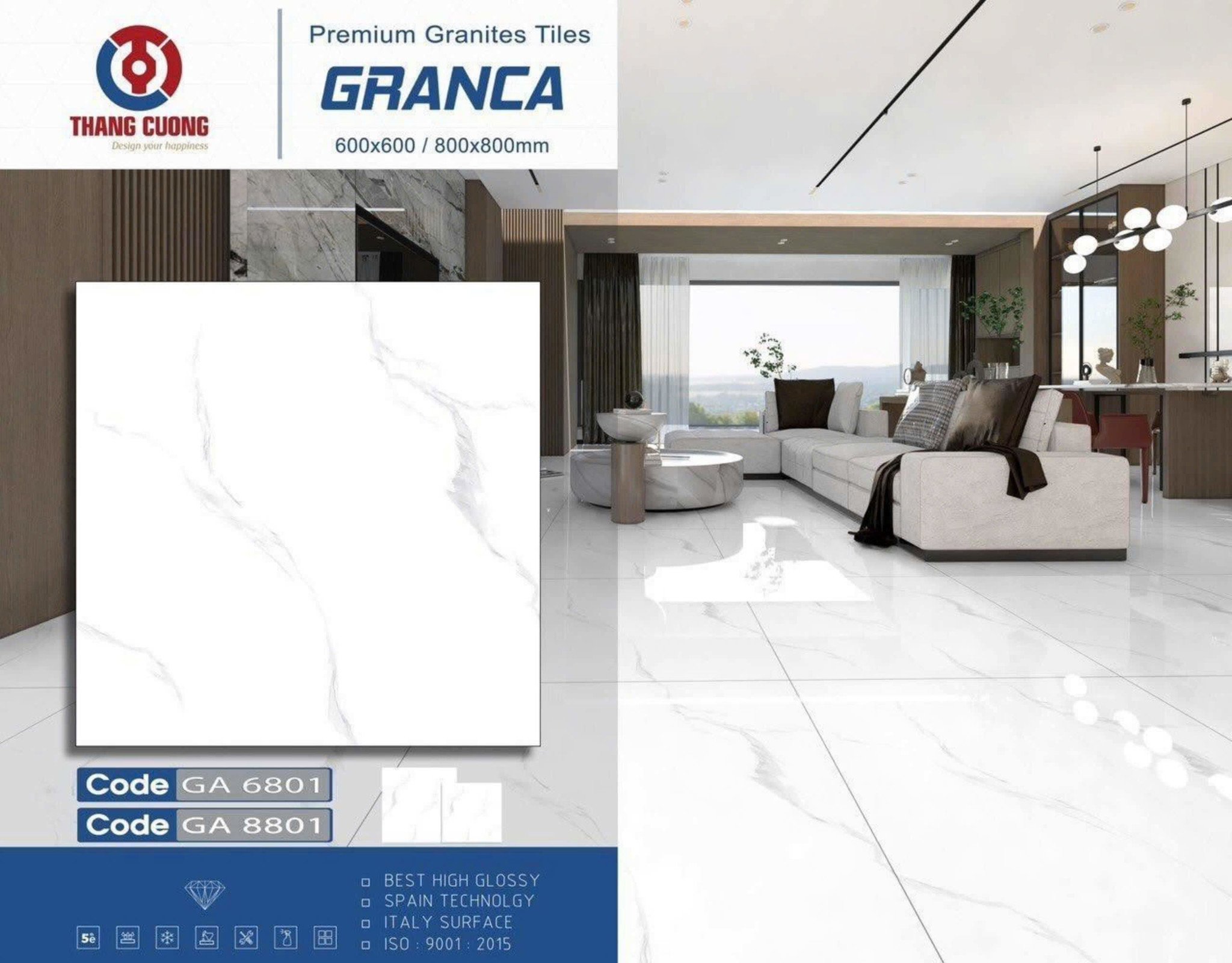 Gạch Granite mờ 80x80 – DT8801